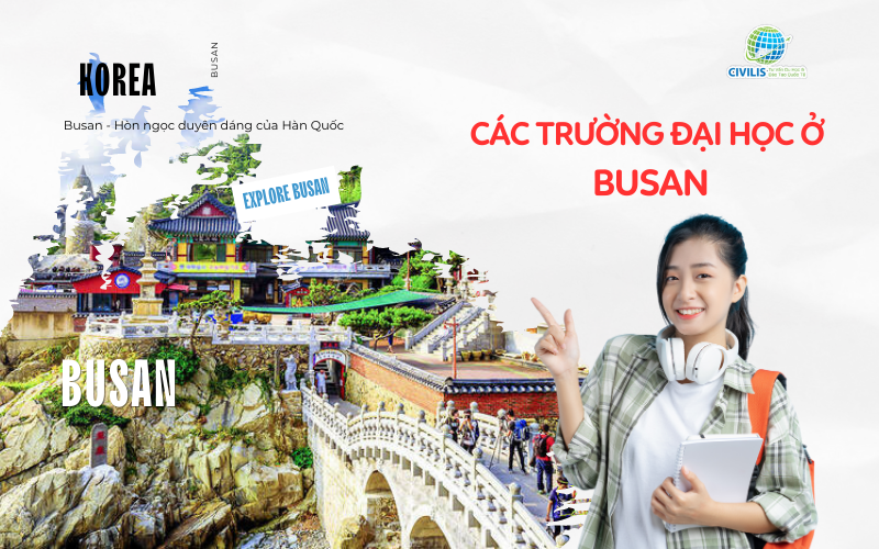 Các trường đại học ở Busan